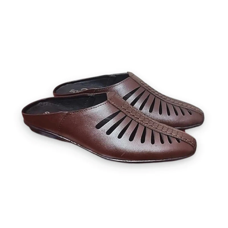 Mojari Shoes